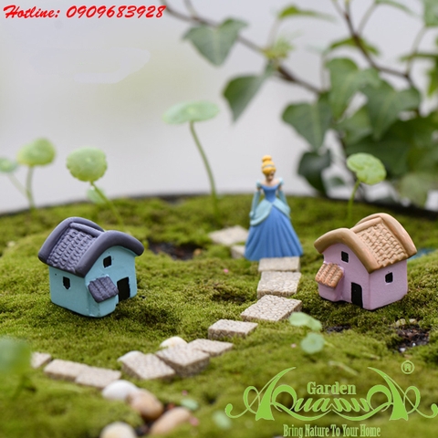 Phụ kiện Terrarium AquaGarden.