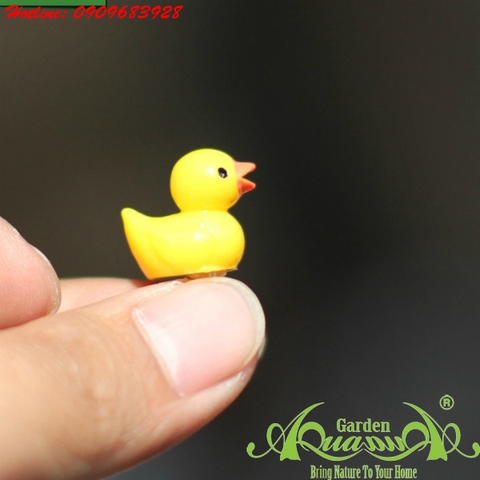 Phụ kiện Terrarium AquaGarden.