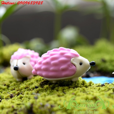  Phụ Kiện Terrarium AquaGarden