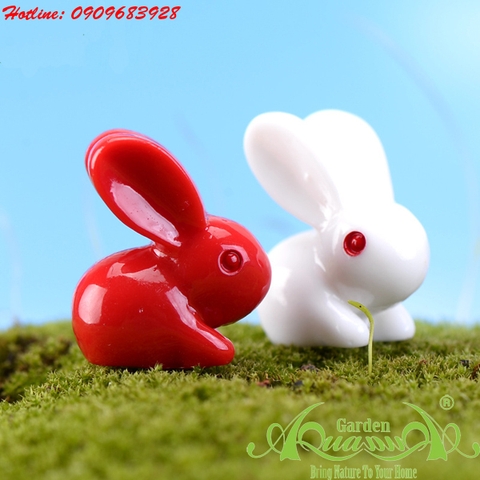 Phụ kiện Terrarium AquaGarden.