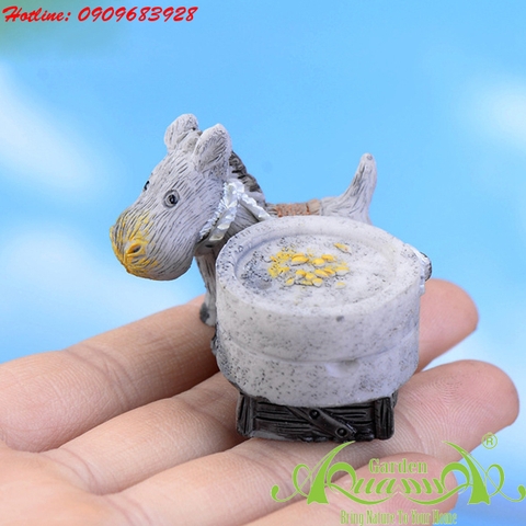 Phụ kiện Terrarium AquaGarden.