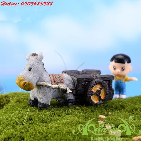 Phụ kiện Terrarium AquaGarden.