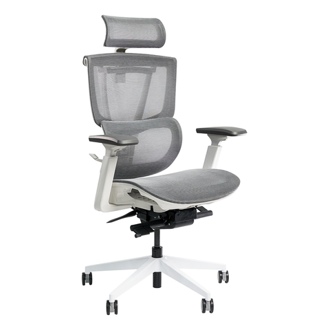 Ghế Công Thái Học Epione ErgoChair Pro 2.0