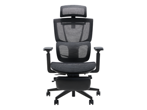 Ghế Công Thái Học Epione ErgoChair Pro 2.0