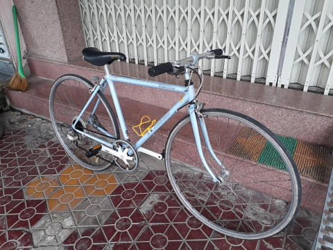 Xe đạp tourring Brigestone Radac (Japan)