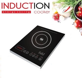 Bếp từ Elmich Y-ZT22