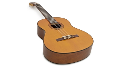 Làm thế nào để chọn Acouctic Guitar? 11 yếu tố để người mua cân nhắc (Kỳ 2)