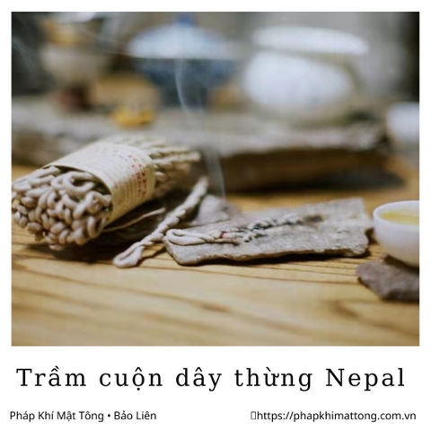 Trầm dây Nepal