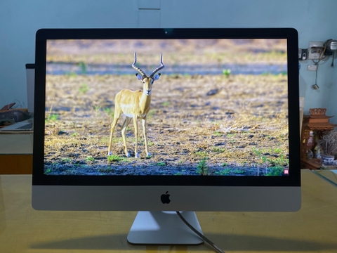 IMac 2019 27 INCH Retina 5k i5 8GB 2.12TB Fusion