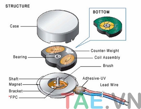 Động Cơ Rung Nhỏ (Vibraton Micro Motor)