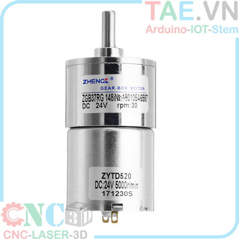 Động Cơ Giảm Tốc 12V  ZGB37RG