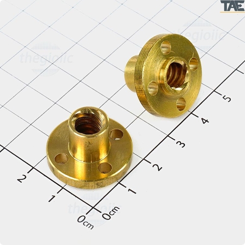 Đai Ốc Vitme T20*4