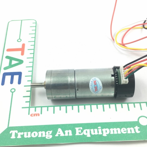 Động Cơ DC Giảm Tốc GM25 370 + Encoder Hall Sensor