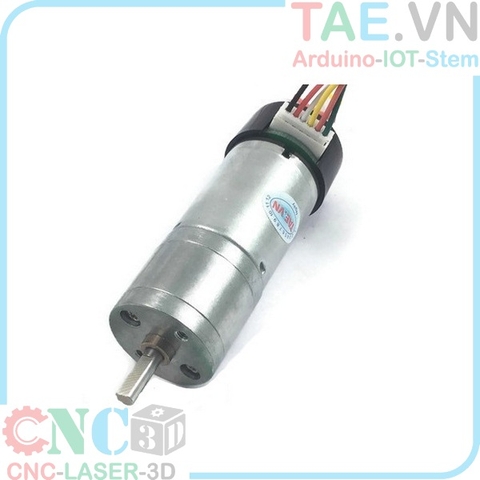 Động Cơ DC Giảm Tốc GM25 370 + Encoder Hall Sensor