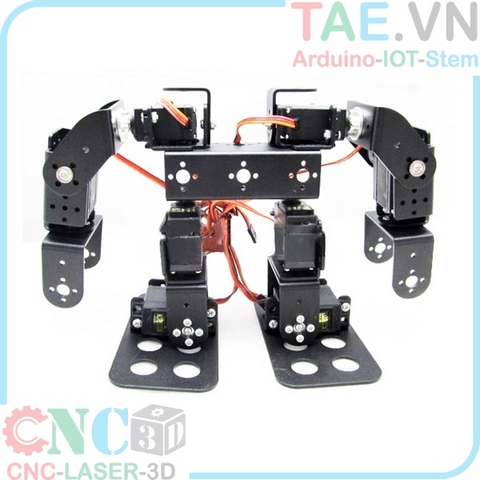 Robot Hình Người 8 Bậc DIY