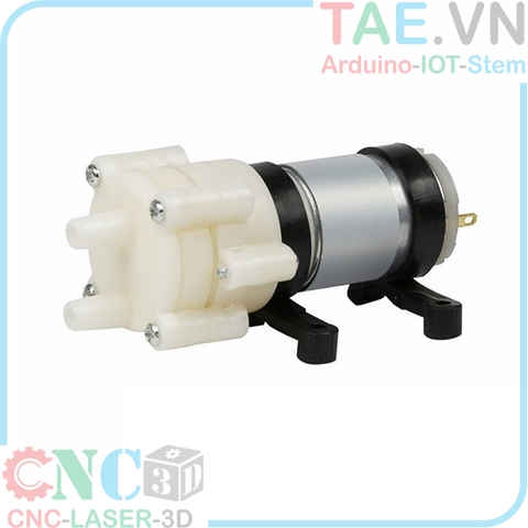 Động Cơ Bơm Nước DC 12V R385