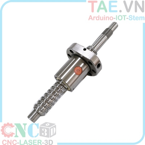 Vít me Bi Hiwin 2010 -