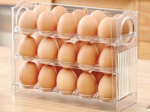 Hộp bảo quản trứng nắp gập 3 lớp 25.5x19.5x10cm - DCB01403