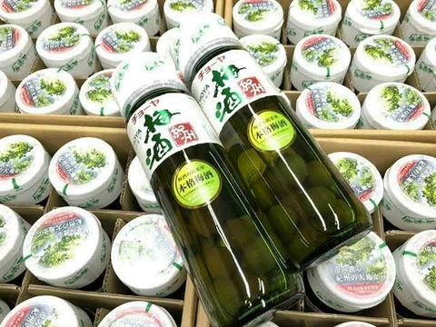 Rượu mơ Nhật Bản Choya Kishu - BNK075
