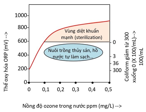 Khả năng diệt khuẩn và thế oxy hóa khử ORP (mV)  của nước