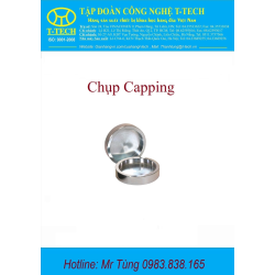 Chụp