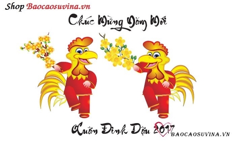 Cùng Baocaosuvina Mừng Năm Mới