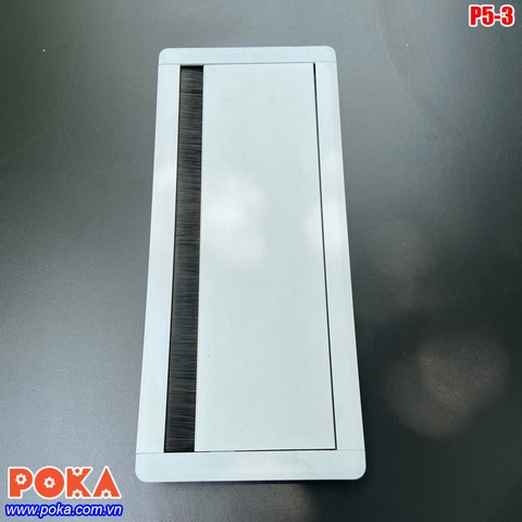 Nắp điện bàn văn phòng giảm chấn P5-3 Nắp điện bàn văn phòng giảm chấn P5-3