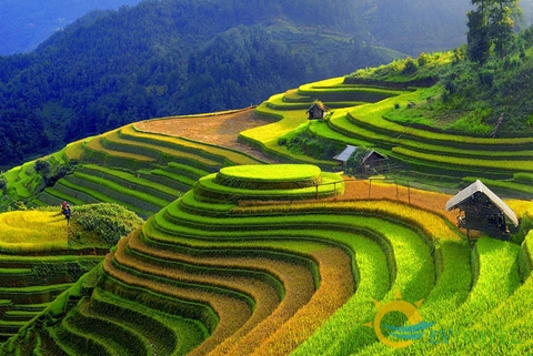 Tour du lịch HÀ GIANG - HOÀNG SU PHÌ - XÍN MẦN - THÁC TIÊN (04 Ngày/ 03 Đêm)