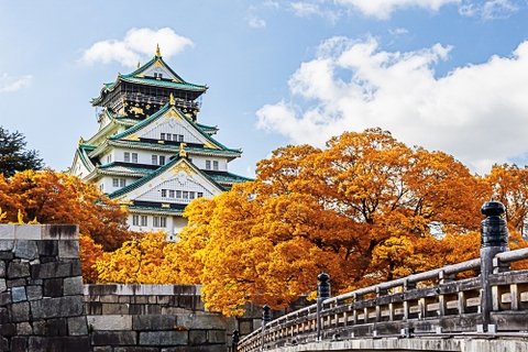 TOUR DU LỊCH NHẬT BẢN: NARITA - TOKYO - MT.FUJI - KAWAGUCHI - TOYOHASHI - KYOTO - OSAKA 6N5Đ, TRẢI NGHIỆM HÁI TRÁI CÂY, KHỞI HÀNH 18-06, 16-07, 06-08-2019 TOUR DU LỊCH NHẬT BẢN: NARITA - TOKYO - MT.FUJI - KAWAGUCHI - TOYOHASHI - KYOTO - OSAKA 6N5Đ, TRẢI NGHIỆM HÁI TRÁI CÂY, KHỞI HÀNH 18-06, 16-07, 06-08-2019