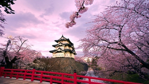 Tour du lịch NHẬT BẢN (OSAKA - KYOTO - NAGOYA - TOKYO) (06 Ngày/ 05 Đêm) Tour du lịch NHẬT BẢN (OSAKA - KYOTO - NAGOYA - TOKYO) (06 Ngày/ 05 Đêm)