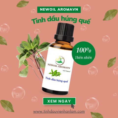 Tinh dầu Húng Quế nguyên chất Newoil Aromavn