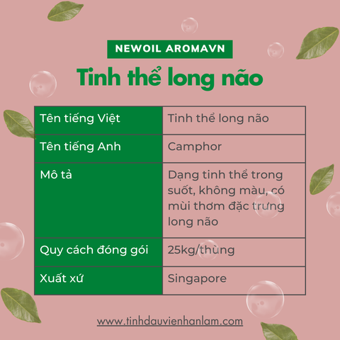 Tinh thể long não (Camphor)