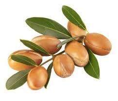 Dầu Argan nguyên chất