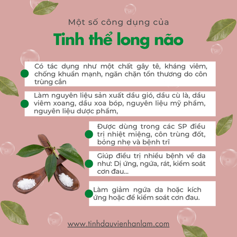 Tinh thể long não (Camphor)