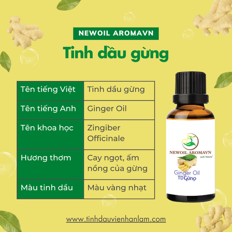 Tinh dầu gừng nguyên chất Newoil Aromavn