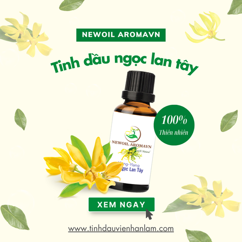 Tinh dầu Ngọc lan tây nguyên chất Newoil Aromavn - Ylang Ylang