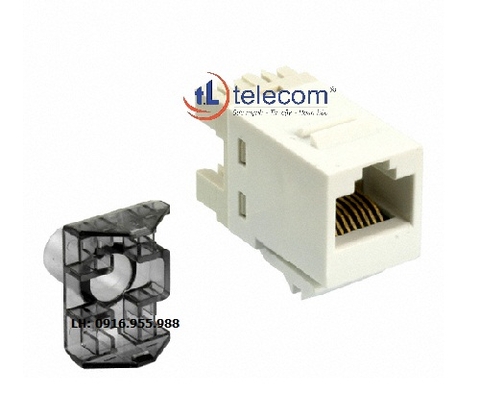 Nhân cắm mạng MODULAR JACK CAT6A 