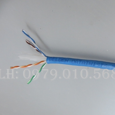 Phân phối cáp mạng BELDEN cat6 UTP chính hãng