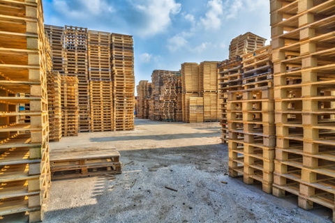 Báo cáo về Pallet 2024: Khám phá các lựa chọn Pallet, kích thước và vai trò trong vận hành kho bãi