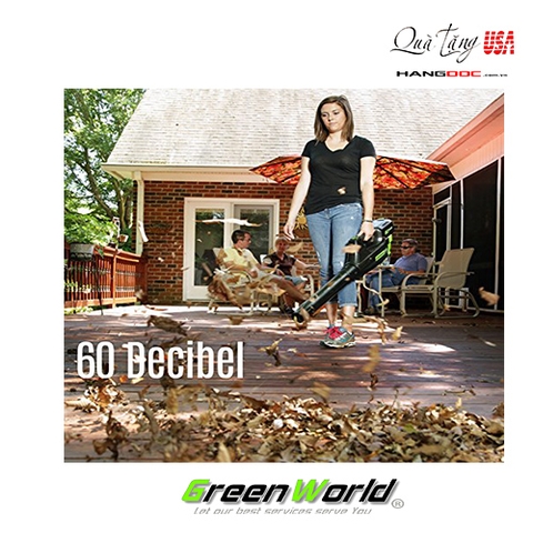 Máy thổi bụi, lá cây công suất lớn - Greenwork Pro 80V Jet dust blower
