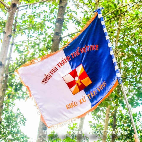 Cờ Đoàn Thiếu Nhi Thánh Thể Việt Nam