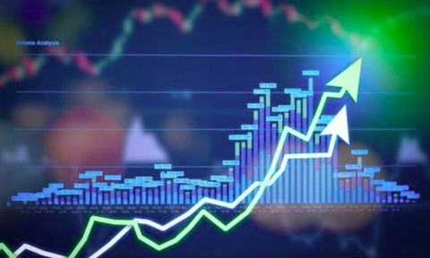 NGHỊ QUYẾT HĐQT SỐ 06 THAY ĐỔI ĐƠN VỊ KIỂM TOÁN NĂM 2026