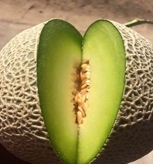 Hạt giống dưa lưới ruột xanh Green man F1 Melon