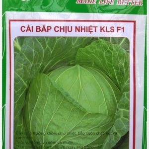 Hạt giống bắp cải chịu nhiệt