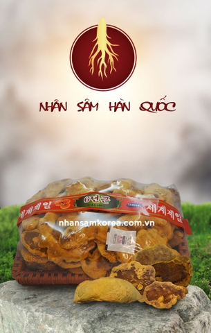 NẤM THƯỢNG HOÀNG VÀNG