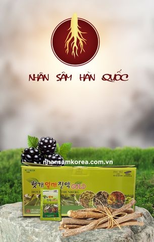 NƯỚC BỔ GAN - HOVENIA GOLD