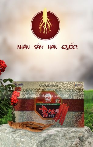 CAO HỒNG SÂM HÀN QUỐC 6 NĂM TUỔI
