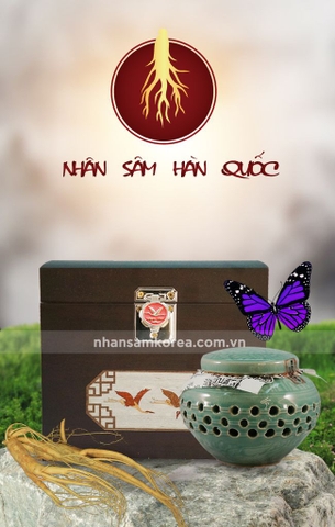 CAO HỒNG SÂM HOÀNG ĐẾ 6 NĂM TUỔI LOẠI ĐẶC BIỆT