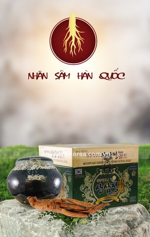 CAO HỒNG SÂM NÚI 1000 G