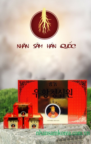 AN CUNG NGƯU HOÀNG THANH TÂM